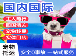 伊金霍洛机场邮寄国际宠物托运 【国